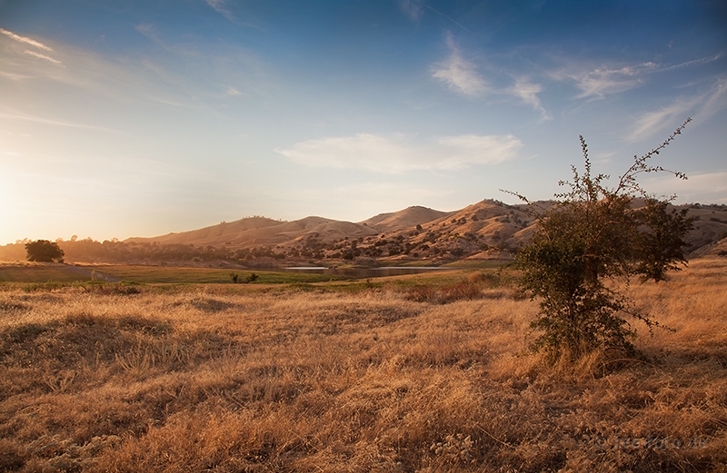 Afrikanisch anmutende Landschaft am Millerton Lake